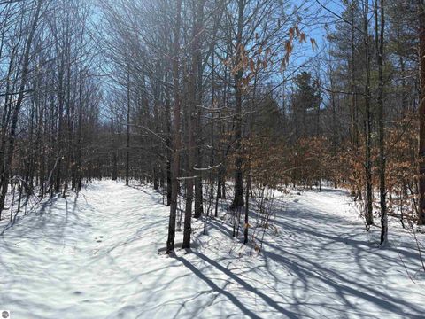Tiny photo for 9891 Glovers Lake Road, Bear Lake, MI 49614 (MLS # 1943058)