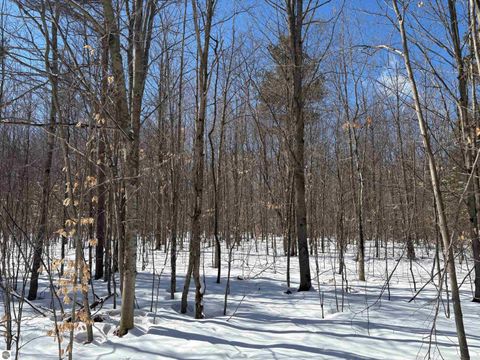 Tiny photo for 9891 Glovers Lake Road, Bear Lake, MI 49614 (MLS # 1943058)