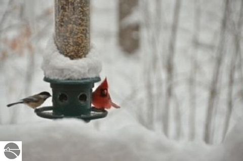 Tiny photo for 2991 Ojibwa Trail, Traverse City, MI 49686 (MLS # 1942042)