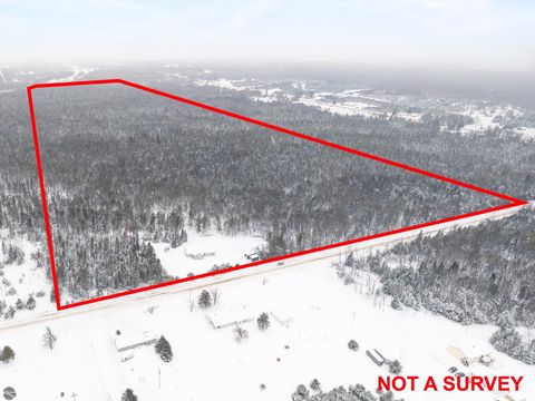 Tiny photo for 433 Alexander Road, Vanderbilt, MI 49795 (MLS # 1942194)