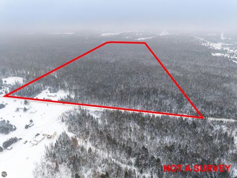 Tiny photo for 433 Alexander Road, Vanderbilt, MI 49795 (MLS # 1942194)