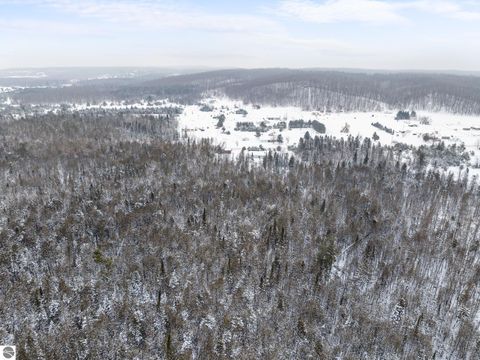 Tiny photo for 433 Alexander Road, Vanderbilt, MI 49795 (MLS # 1942194)