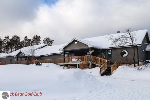 Tiny photo for 433 Alexander Road, Vanderbilt, MI 49795 (MLS # 1942194)