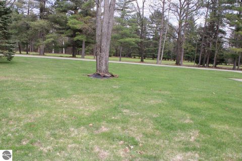 Tiny photo for 1811 NE Twin Birch Road, Kalkaska, MI 49646 (MLS # 1944867)