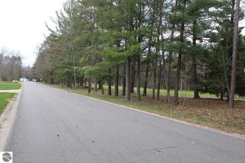 Tiny photo for 1811 NE Twin Birch Road, Kalkaska, MI 49646 (MLS # 1944867)