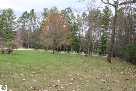 Tiny photo for 1811 NE Twin Birch Road, Kalkaska, MI 49646 (MLS # 1944867)