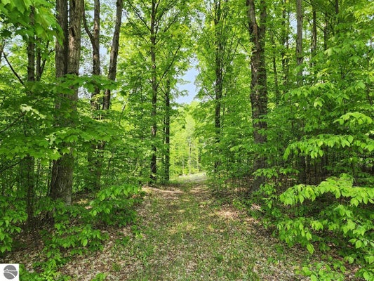 RAVENS ROOST LN, TRAVERSE CITY, MI 49684 - Image 8a4d23a27cb532aac3c5df72f8b46b21/928765760