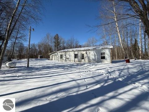Tiny photo for 2785 W Falmouth Road, McBain, MI 49657 (MLS # 1943028)