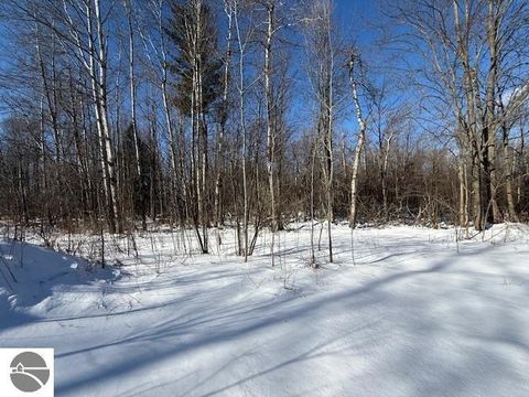 Tiny photo for 2785 W Falmouth Road, McBain, MI 49657 (MLS # 1943028)