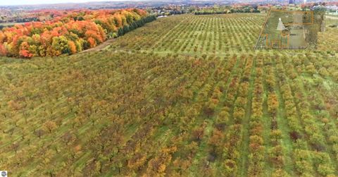 Tiny photo for 7710 US-31 N, Williamsburg, MI 49690 (MLS # 1944398)