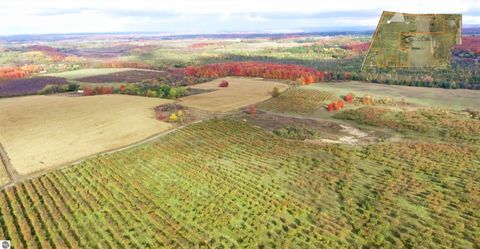 Tiny photo for 7710 US-31 N, Williamsburg, MI 49690 (MLS # 1944398)