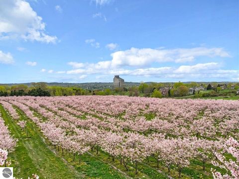 Tiny photo for 7710 US-31 N, Williamsburg, MI 49690 (MLS # 1944398)