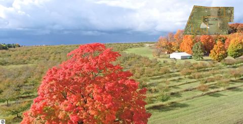 Tiny photo for 7710 US-31 N, Williamsburg, MI 49690 (MLS # 1944398)