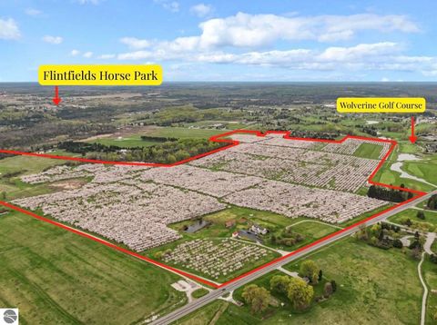 Tiny photo for 7710 US-31 N, Williamsburg, MI 49690 (MLS # 1944398)