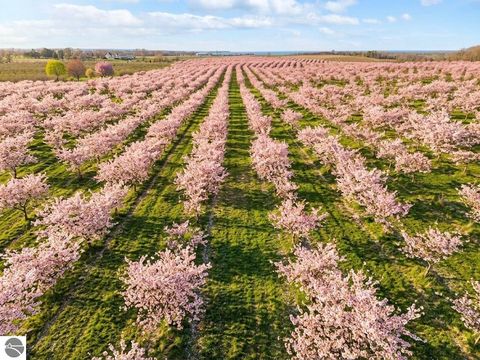 Tiny photo for 7710 US-31 N, Williamsburg, MI 49690 (MLS # 1944398)