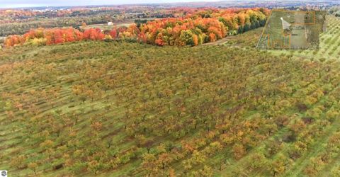 Tiny photo for 7710 US-31 N, Williamsburg, MI 49690 (MLS # 1944398)