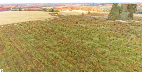Tiny photo for 7710 US-31 N, Williamsburg, MI 49690 (MLS # 1944398)