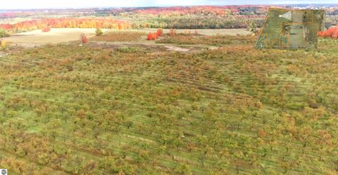 Tiny photo for 7710 US-31 N, Williamsburg, MI 49690 (MLS # 1944398)