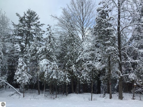 Tiny photo for 15706 Betsie River Drive, Thompsonville, MI 49683 (MLS # 1947739)