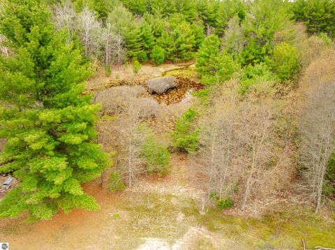Tiny photo for 4935 SW Boardman Road, South Boardman, MI 49680 (MLS # 1944476)