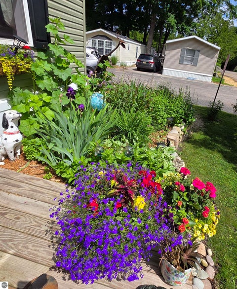 Tiny photo for 616 Shadywood Street, Elk Rapids, MI 49629 (MLS # 1951055)