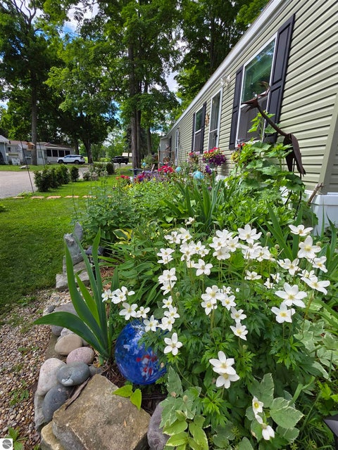 Tiny photo for 616 Shadywood Street, Elk Rapids, MI 49629 (MLS # 1951055)