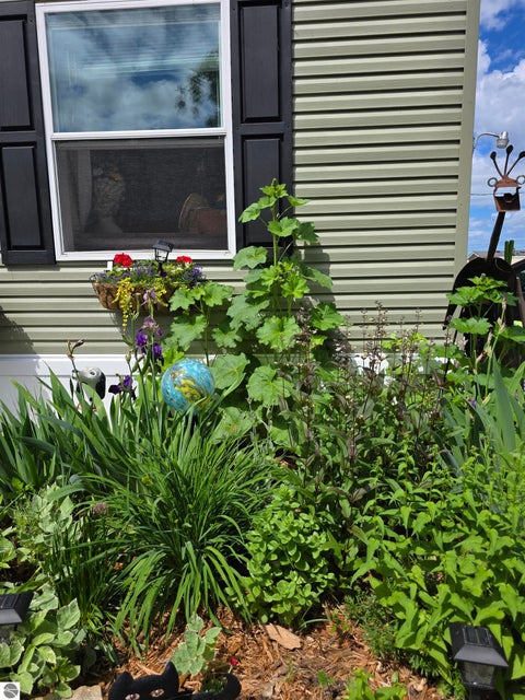 Tiny photo for 616 Shadywood Street, Elk Rapids, MI 49629 (MLS # 1951055)
