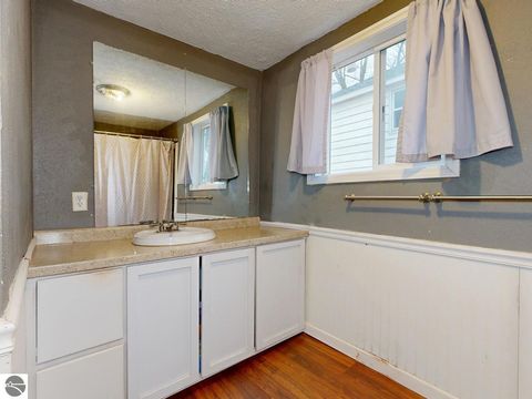 Tiny photo for 233 E Wright Avenue, Shepherd, MI 48883 (MLS # 1942801)