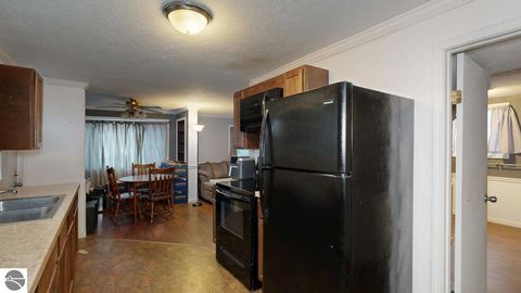 Tiny photo for 233 E Wright Avenue, Shepherd, MI 48883 (MLS # 1942801)