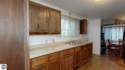 Tiny photo for 233 E Wright Avenue, Shepherd, MI 48883 (MLS # 1942801)