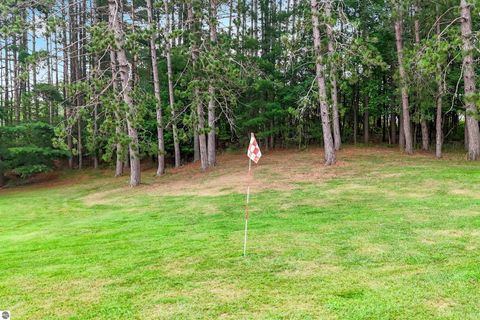 Tiny photo for 16186 N 200th Avenue, Leroy, MI 49655 (MLS # 1941058)