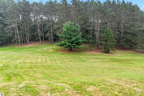 Tiny photo for 16186 N 200th Avenue, Leroy, MI 49655 (MLS # 1941058)