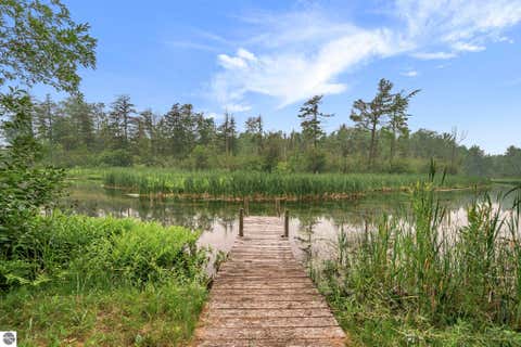 Tiny photo for 6586 Betsie River Road, Interlochen, MI 49643 (MLS # 1948362)
