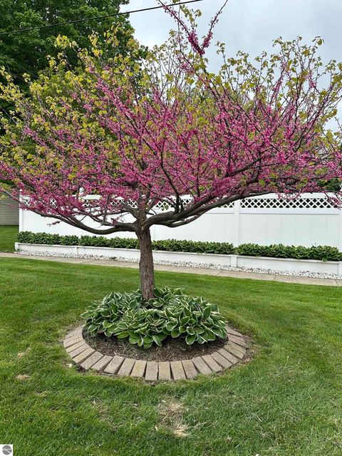 Tiny photo for 1054 E Maple, Mt Pleasant, MI 48858 (MLS # 1942122)