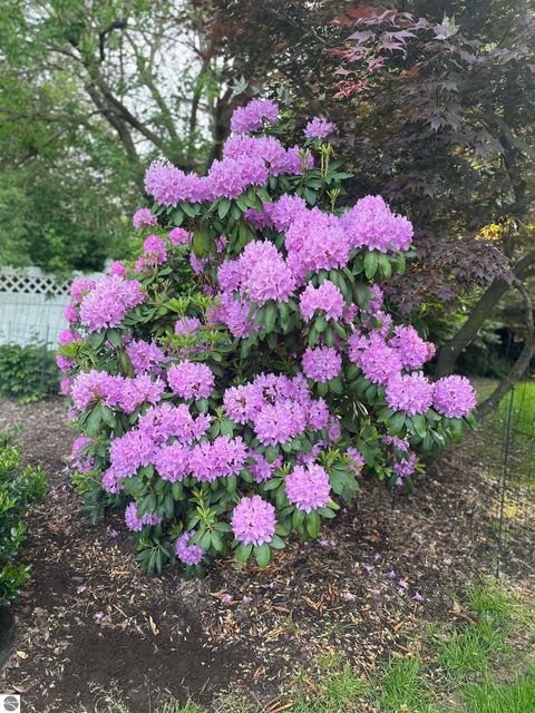 Tiny photo for 1054 E Maple, Mt Pleasant, MI 48858 (MLS # 1942122)