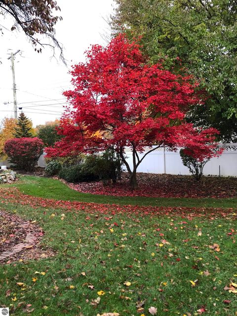 Tiny photo for 1054 E Maple, Mt Pleasant, MI 48858 (MLS # 1942122)