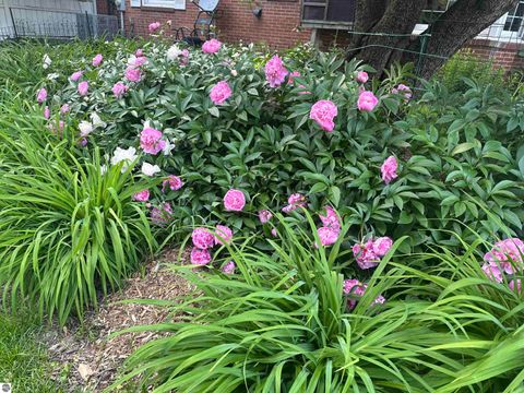 Tiny photo for 1054 E Maple, Mt Pleasant, MI 48858 (MLS # 1942122)