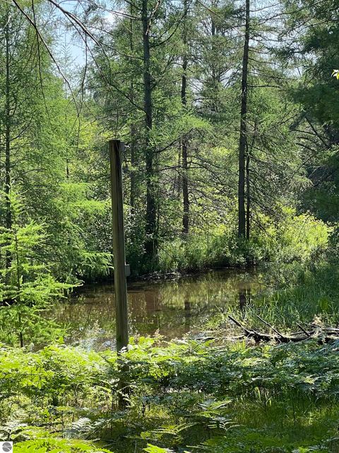 Tiny photo for 2323 Hummingbird Lane, Grayling, MI 49738 (MLS # 1948493)
