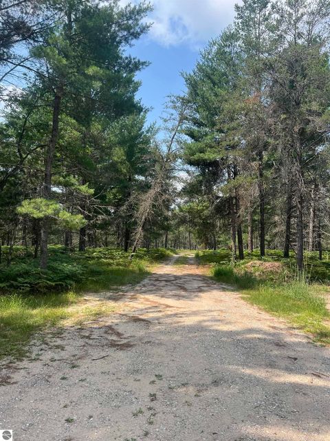 Tiny photo for 2323 Hummingbird Lane, Grayling, MI 49738 (MLS # 1948493)