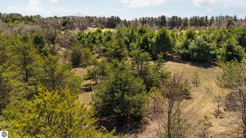 Tiny photo for 16829 Pettengill Road, Empire, MI 49630 (MLS # 1944191)