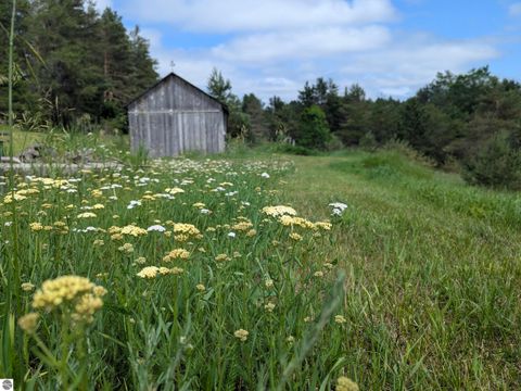 Tiny photo for 16829 Pettengill Road, Empire, MI 49630 (MLS # 1944191)