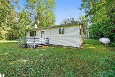 Tiny photo for 3495 Pine Acres Road, Glennie, MI 48737 (MLS # 1947536)