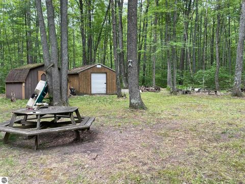 Tiny photo for 231 Dyer Road, Rose City, MI 48654 (MLS # 1947108)
