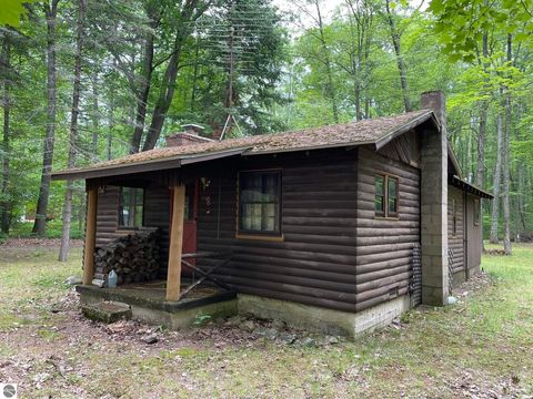 Tiny photo for 231 Dyer Road, Rose City, MI 48654 (MLS # 1947108)