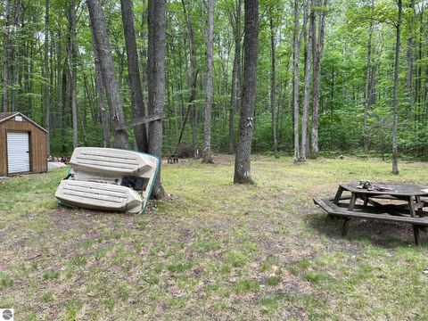 Tiny photo for 231 Dyer Road, Rose City, MI 48654 (MLS # 1947108)