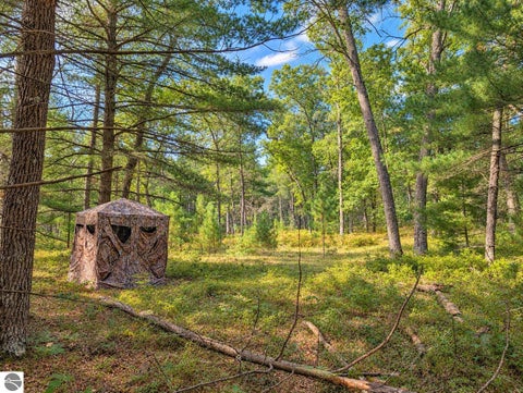 Tiny photo for 3395 W Chappel Woods Trail, National City, MI 48748 (MLS # 1950490)
