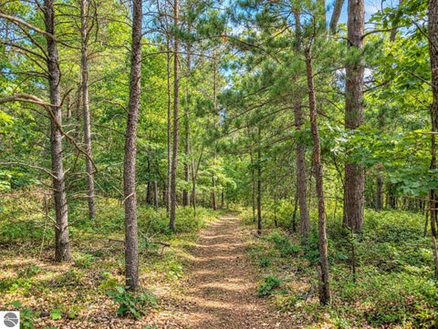 Tiny photo for 3395 W Chappel Woods Trail, National City, MI 48748 (MLS # 1950490)