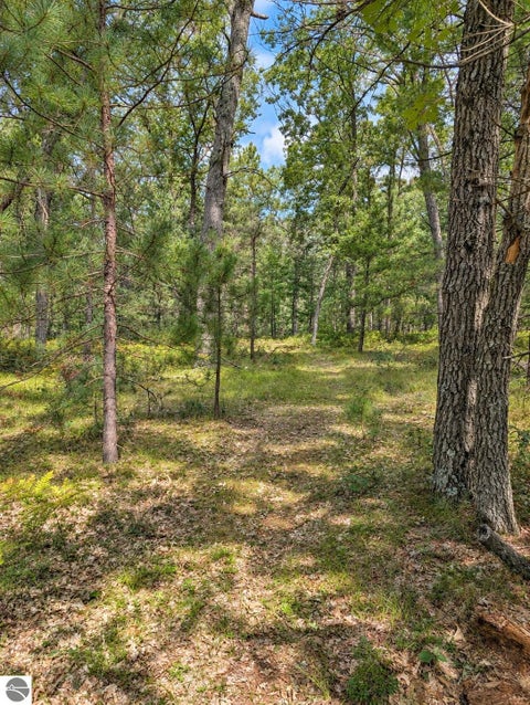 Tiny photo for 3395 W Chappel Woods Trail, National City, MI 48748 (MLS # 1950490)