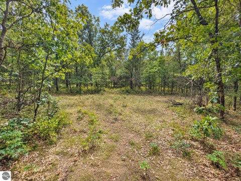 Tiny photo for 3395 W Chappel Woods Trail, National City, MI 48748 (MLS # 1950490)
