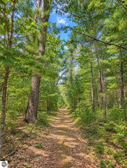 Tiny photo for 3395 W Chappel Woods Trail, National City, MI 48748 (MLS # 1950490)